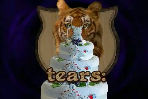 quotes about tears and pain. tears of a tiger quotes